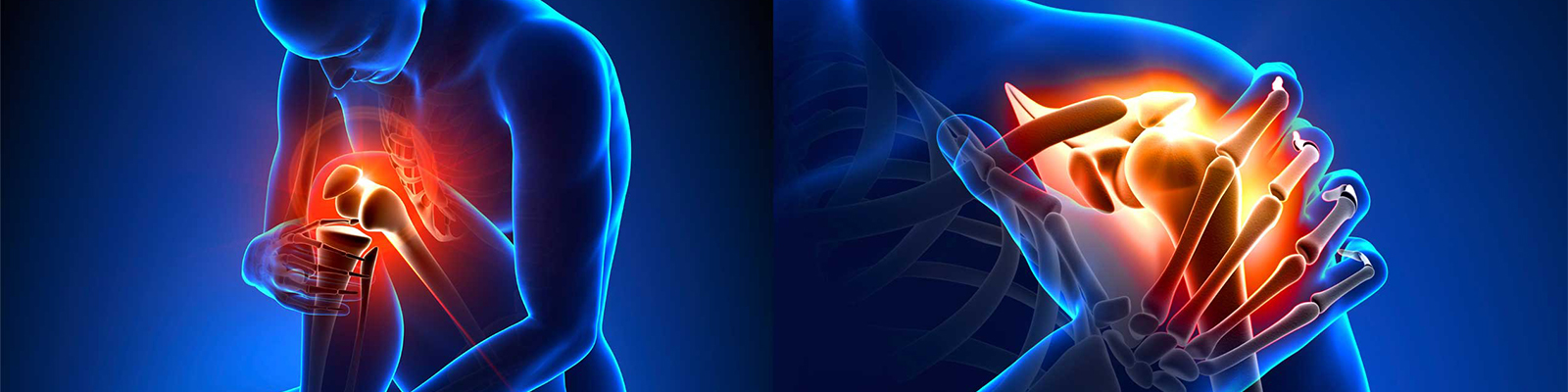 Dr. HARSHA C M  <br> MBBS, D Ortho, DNB Ortho